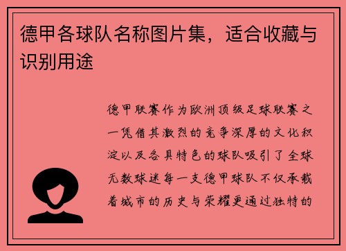德甲各球队名称图片集，适合收藏与识别用途